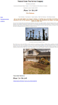 Mobile Screenshot of naturalgreentreeservice.com